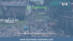 နိုင်ငံတကာစွန့်ပစ်အမှိုက်တွေကြားက ရွှေပြည်သာ 