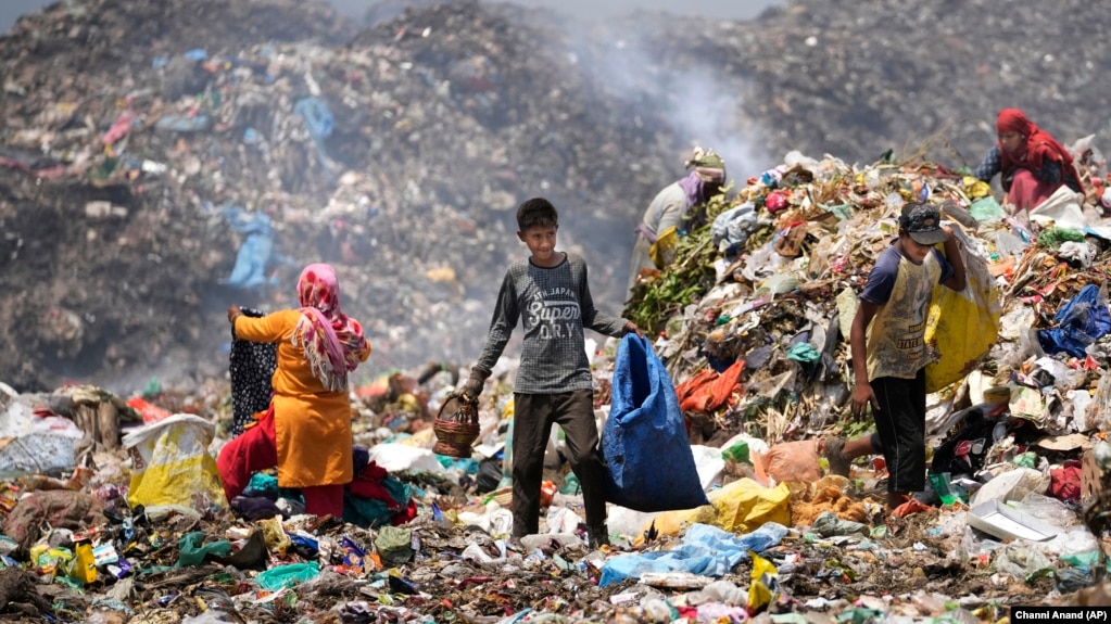 Waste picker Rajdin, 17, looks for recyclable material during a heat wave at a garbage dump on outskirts of Jammu, India, Wednesday, June 19, 2024. (AP Photo/Channi Anand)