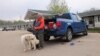 Wildfire evacuee Colin Guilder and his dog, Sheba, are pictured at a gas station and motel in northern Alberta the day after a wildfire caused the evacuation of communities on the southern edge of Fort McMurray, May 15, 2024.
