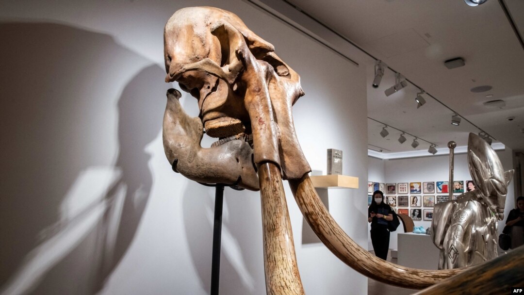 Exhibits are seen on display during a media tour of the new Sotheby's space at in Hong Kong on July 25, 2024.