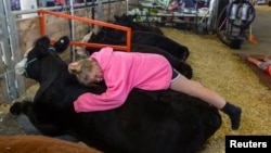 ทีกิน บราวน์ลี วัย 10 ปี กอดฟริสบี วัวของเธอ ที่งาน Iowa State Fair รัฐไอโอวา สหรัฐฯ เมื่อ 19 ส.ค. 2022 (REUTERS/Rachel Mummey)