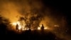 آتش‌سوزی در جنگل‌های پارک ملی کرخه