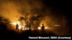 آتش‌سوزی در جنگل‌های پارک ملی کرخه