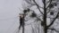 A worker repairs a power line following a Russian strike in the village of Velyka Vilshanytsia, some 50km from Lviv, on March 9, 2023.
