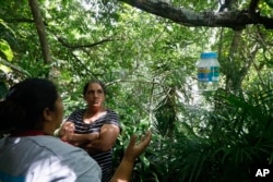 Honduras Mosquitoes Fighting Dengue
