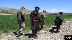 FILE - Armed Taliban security personnel walk along a wheat field in Argo district, Badakhshan province, on May 6, 2024. 