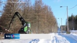 Phần Lan bắt đầu xây dựng hàng rào biên giới chắn Nga