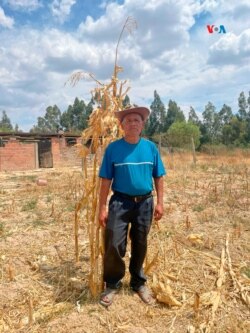 Los productores agrícolas y pobladores optan por el ahorro, mientras sortean el clima y la falta de precipaciones. [Foto: Fabiola Chambi, VOA]