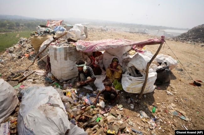 Waste pickers Arjun, 6, sorts recyclable items with his parents at a garbage dump site during a heat wave on the outskirts of Jammu, India, Thursday, June 19, 2024. (AP Photo/Channi Anand)