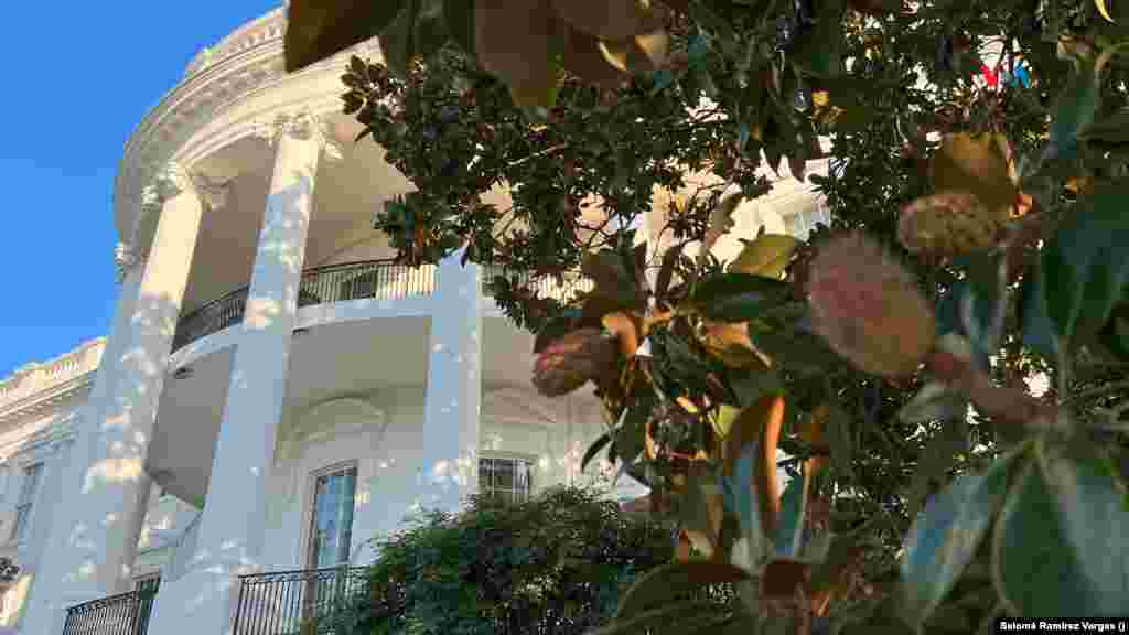 Algunos de los empleados encargados de mantener el jardín llevan más de 50 años dedicándose a cuidar de las flores y plantas ornamentales que rodean la Casa Blanca.