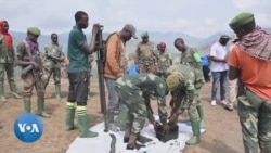 RDC : des groupes d'autodéfense traquent les rebelles du M23