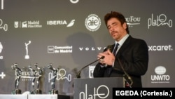 El actor Benicio del Toro durante la conferencia de prensa celebrada el 21 de abril de 2023 en Madrid, España, con motivo de los Premios Platino del Cine Iberoamericano.