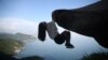 Seorang turis bergelantungan di Telegraph Rock (Pedra do Telegrafo), salah satu tempat paling 'Instagramable' di Rio de Janeiro, Brazil 9 Januari 2024. (REUTERS/Pilar Olivares)