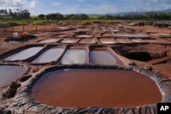 Salt crystals at the Hanapepe salt patch on Sunday, July 9, 2023, in Hanapepe, Hawaii. Each year, 22 Native Hawaiian families keep the tradition alive by tending to the salt ponds. The salt they make can only be traded or given away. (AP Photo/Jessie Wardarski)