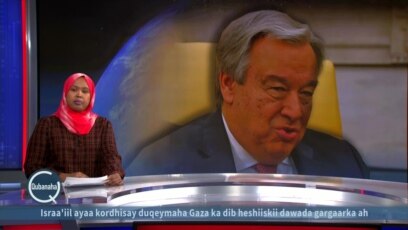 XGQM: Xabbad-joojin Halaga Hirgaliyo Qaza