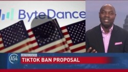 Analysis: US House of Representatives Votes to Ban TikTok