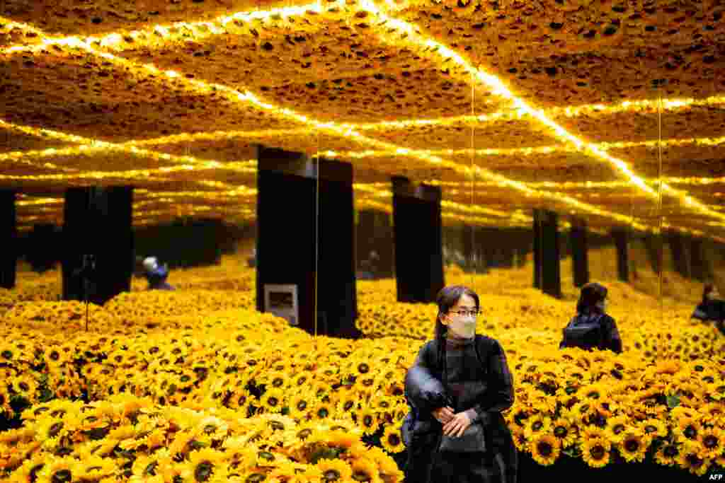 People visit the sunflowers installation, which is a part of the immersive exhibition &quot;Van Gogh Alive&quot; featuring large scale of Van Gogh artworks, produced by Grande Experiences during a media event in Tokyo, Japan.