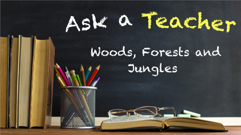 Woods, Forests and Jungles