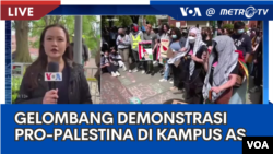 Laporan VOA untuk Metro TV: Gelombang Demo Pro-Palestina di AS 