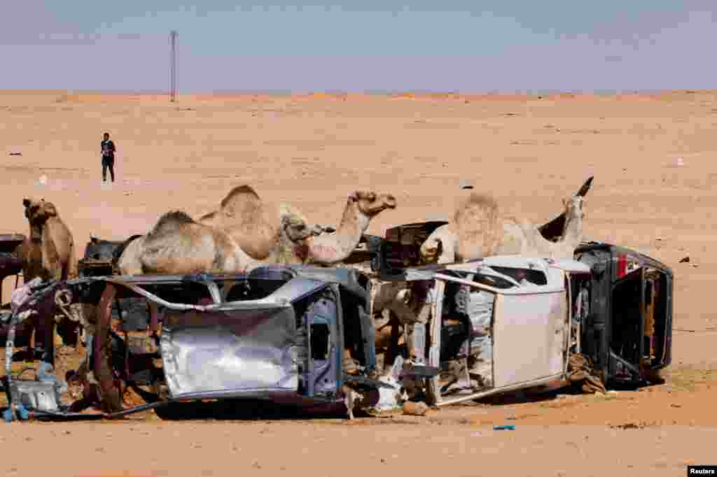 A competitor runs during of the XXIII edition of the Sahara Marathon, in Tindouf, Algeria.