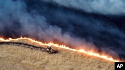 Petugas damkar menggunakan buldoser untuk memadamkan kebakaran Corral dekat Tracy, California, Minggu, 2 Juni 2024. (Departemen Kehutanan dan Perlindungan Kebakaran California via AP)