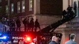 30일 뉴욕 경찰이 사다리차를 이용해 컬럼비아대 시위대가 점거하고 있는 해밀턴홀에 진입하고 있다. 