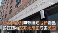 动物镇静剂甲苯噻嗪成新毒品 兽医药物配芬太尼正危害美国