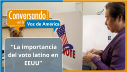 El voto latino y su importancia en las elecciones presidenciales 2024 en EEUU
