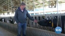 Despite War, Dutch Farmer Stays in Ukraine to Help Country 