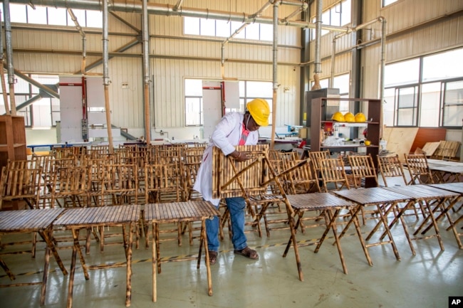 Taga Nuwagaba, a bamboo farmer and businessman who owns a bamboo furniture factory, holds a piece of furniture in Wakiso, Uganda on March 13, 2024. (AP Photo/Dipak Moses)