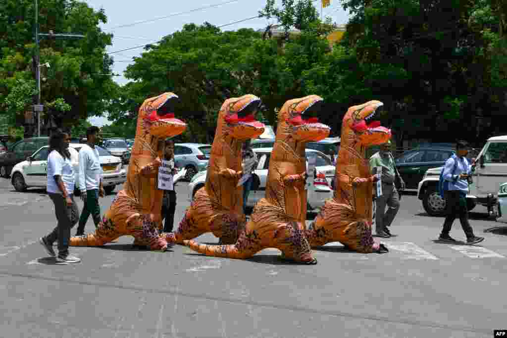 Activists of People for the Ethical Treatment of Animals (PETA) wear dinosaur costumes as they protest for veganism in Hyderabad, India.