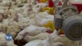 Mfanyabiashara aeleza changamoto za kukosekana umeme Afrika Kusini