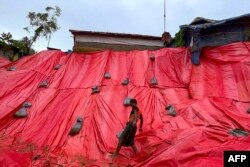 Seorang relawan Rohingya menutupi daerah yang terkena dampak tanah longsor dengan terpal di kamp pengungsi Balukhali di Ukhia di Cox's Bazar, Bangladesh, pada 19 Juni 2024. (Foto: AFP)