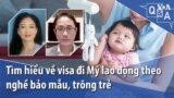 Tìm hiểu về visa đi Mỹ lao động theo nghề bảo mẫu, trông trẻ