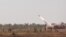 FILE - U.S. Army field artillery launches ATACMS in during military exercises in Australia, July 27, 2023.