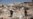 A Month After Quake, Survivors Need Shelter, Sanitation