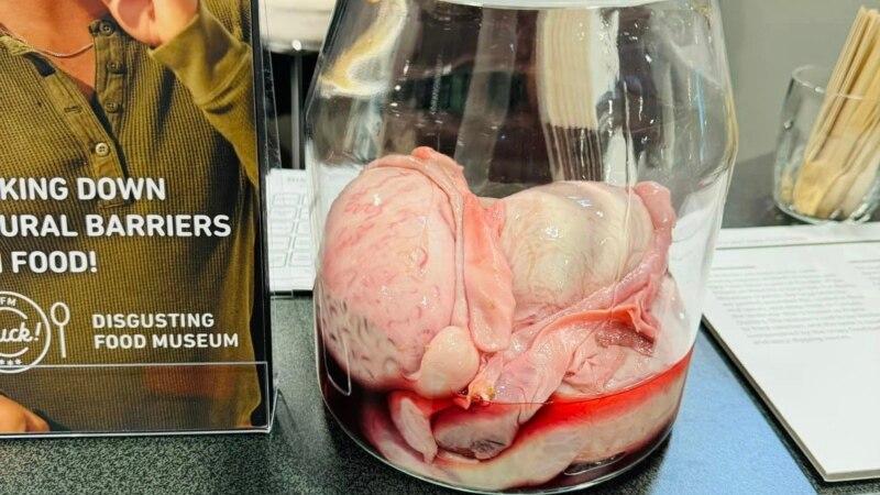 Melongok Museum 'Makanan Menjijikkan' di Berlin, Ada Durian