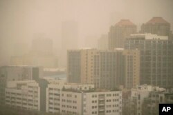 沙尘暴来袭北京。 (2023年3月10日)