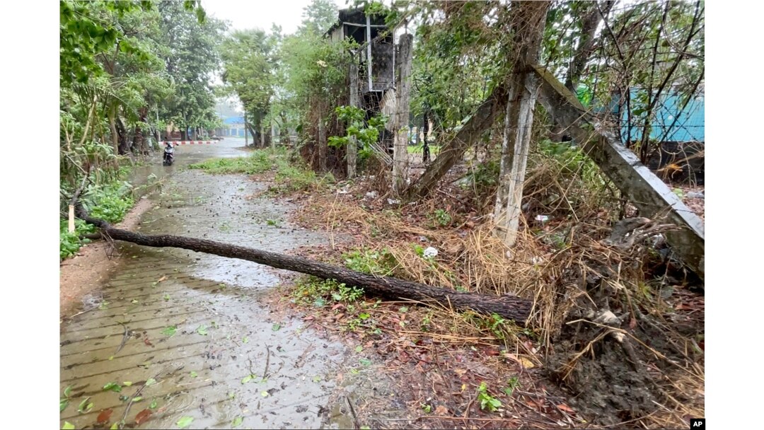 Sebuah pohon tumbang di jalan kosong saat Topan Mocha mendekat di Sittwe, Negara Bagian Rakhine, Myanmar Minggu, 14 Mei 2023. (Foto: AP)