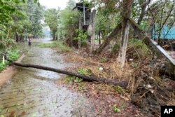 Sebuah pohon tumbang di jalan kosong saat Topan Mocha mendekat di Sittwe, Negara Bagian Rakhine, Myanmar Minggu, 14 Mei 2023. (Foto: AP)