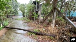 Cây đổ vì bão ở Myanmar hôm 14/5. 