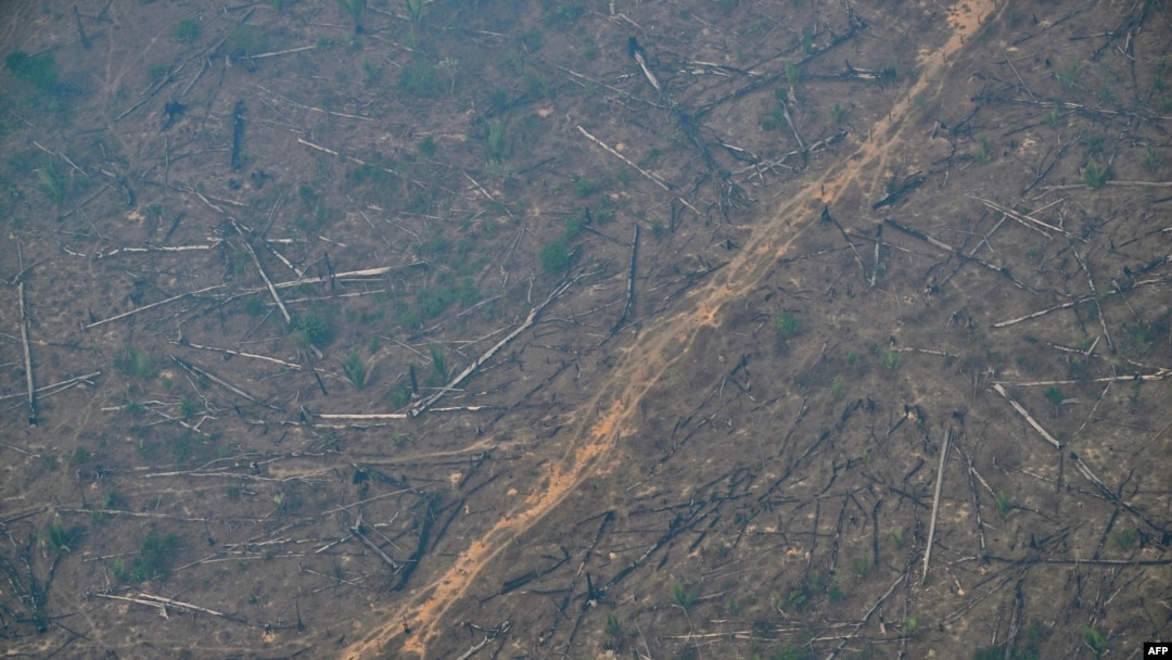 FILE - Aerial image of an area of deforested Amazon rainforest covered in smoke from an illegal fire in the municipality of Cujubim, Rondonia State, northern Brazil, Aug. 20, 2024. Wildfires and drought ravaged large parts of the rainforest in 2024. 