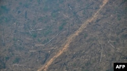 Foto dari udara yang menunjukkan area deforestasi pada hutan hujan Amazon di wilayah Cujubim, negara bagian Rondonia, di utara Brazil, yang diliputi asap, pada 20 Agustus 2024. (Foto: AFP/Evaristo Sa)