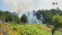 Хеликоптери, пожарникари, војска во битка со пожарот кај Пехчево