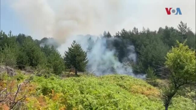 Хеликоптери, пожарникари, војска во битка со пожарот кај Пехчево