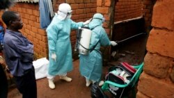 African public health experts raise mpox, Marburg alarm