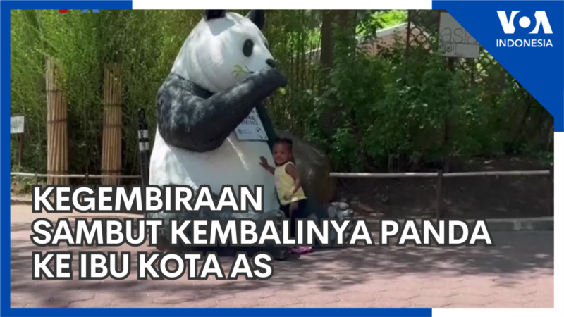 Kegembiraan Sambut Kembalinya Panda ke Ibu Kota AS