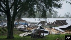 The remains of four old chicken houses, now used for storage, sit collapsed after the passage of Hurricane Idalia, Aug. 30, 2023, on a private farm near Mayo, Fla.