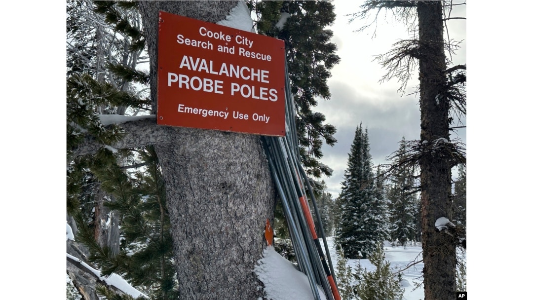 Penyelidikan longsoran salju yang dapat digunakan untuk mencari korban terkubur di salju terlihat di pedalaman Hutan Nasional Gallatin, dekat Cooke City, Montana, 29 Jan 2024. (AP/Matthew Brown)