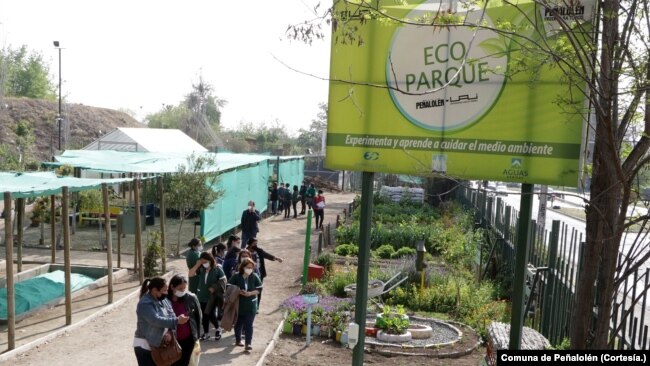 La protección de la biodiversidad es una de las iniciativas que se llevan a cabo en la comuna de Peñalolén, en Chile, para afrontar la crisis climática.